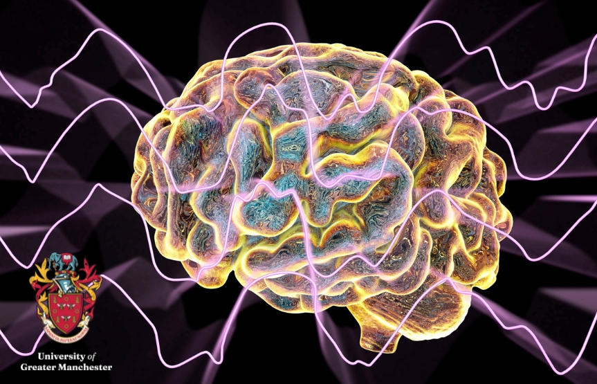 BSc (Hons) Psychology and Cognitive Neuroscience